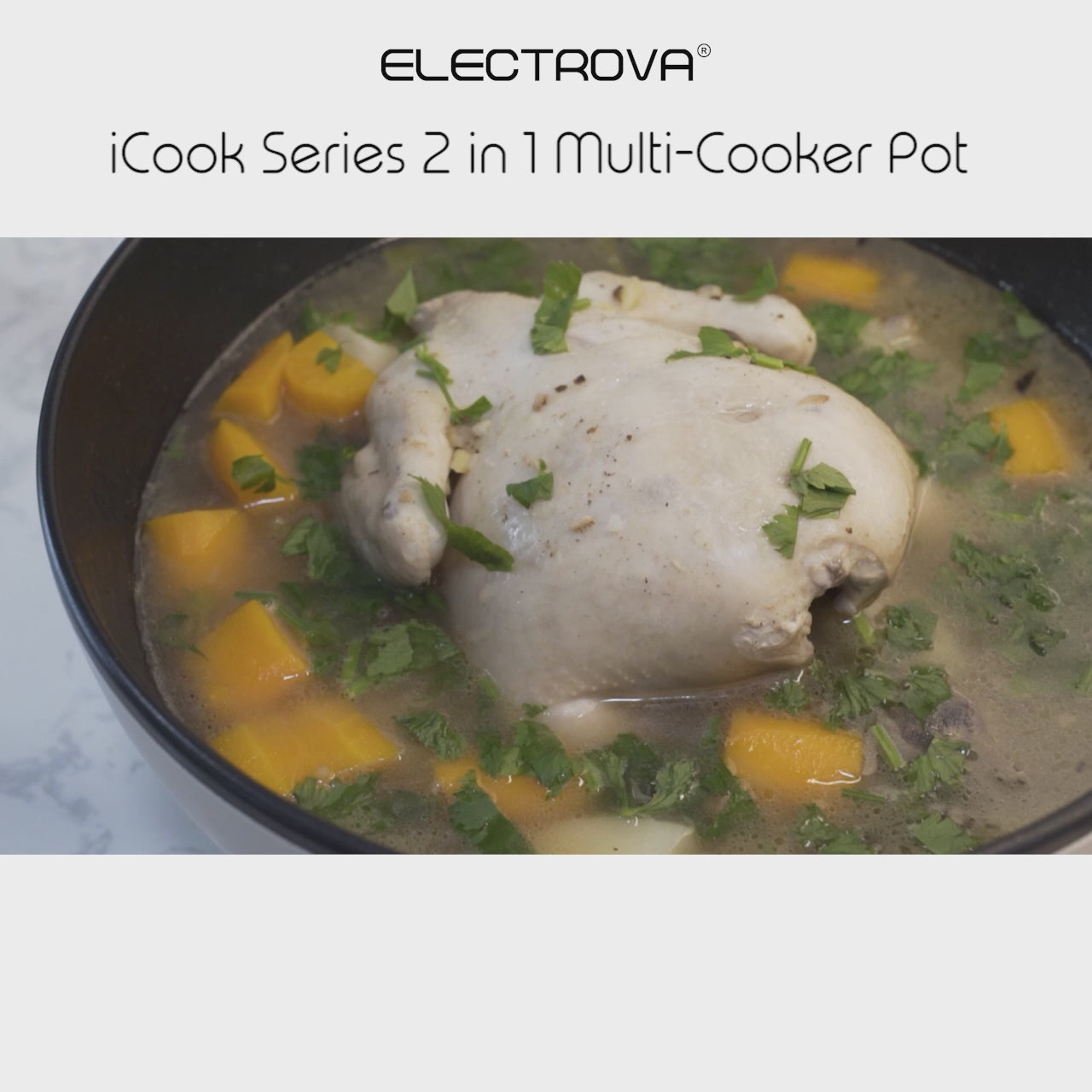 Electrova iCook Series 2 in 1 Multi- Function Cooker Pot (4L)