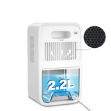 Electrova Portable 2 in 1 Dehumidifier & Air Purifier