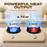 2-in-1 Dual Power Cooking Gas Stove