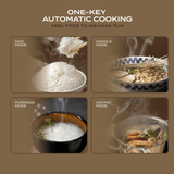 Electrova Multi-Functional Mini Rice Cooker Pot iCook Series (With Steamer)