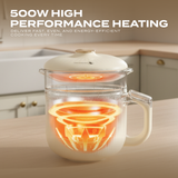 Electrova Multi-Functional Mini Rice Cooker Pot iCook Series (With Steamer)