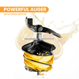 Electrova SlowPress Juice Extractor with powerful auger and 250W motor for efficient cold press juice extraction and maximum nutrition retention