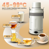 Electrova Portable Vacuum Insulation Thermal Electric Kettle