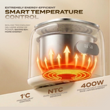 Electrova iCook Series Steamer Rice Cooker (2.5L)